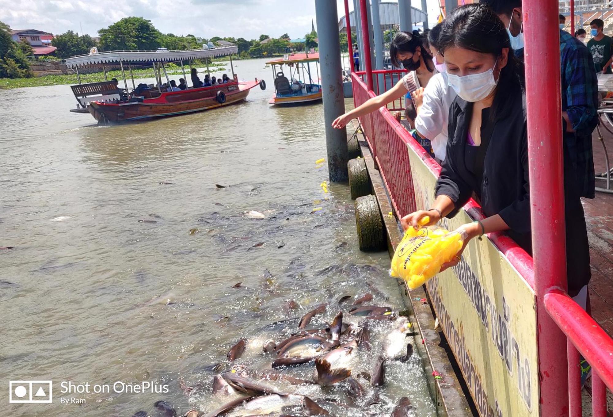 Hotel V House Phra Nakhon Si Ayutthaya Zewnętrze zdjęcie